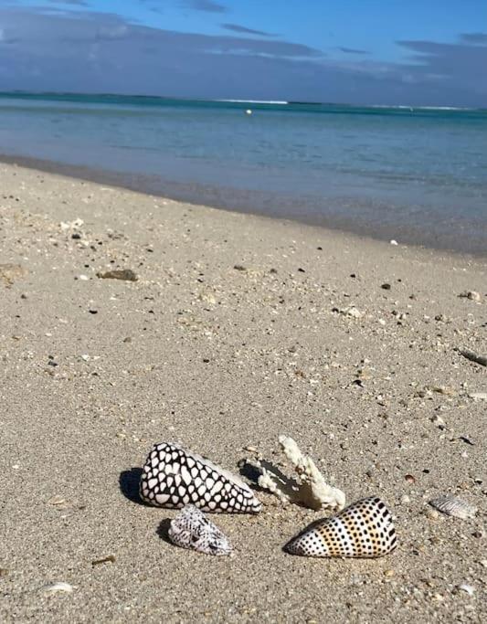 Villa La Playa Pieds Dans L'Eau Lagon + Piscine Saint-Gilles-les Bains Kültér fotó
